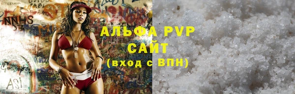 apvp Вяземский